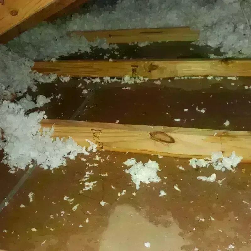 Attic Water Damage in Midway, PA